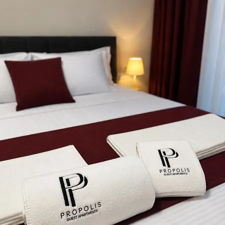 Apartment Propolis Guest Momchilgrad