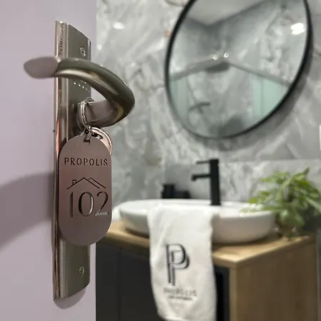 Propolis Guest Apartment Momchilgrad